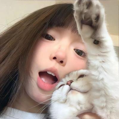 托芙的房间